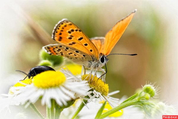 Замечательное мгновение