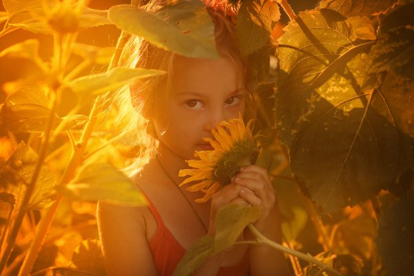 Оранжевое лето