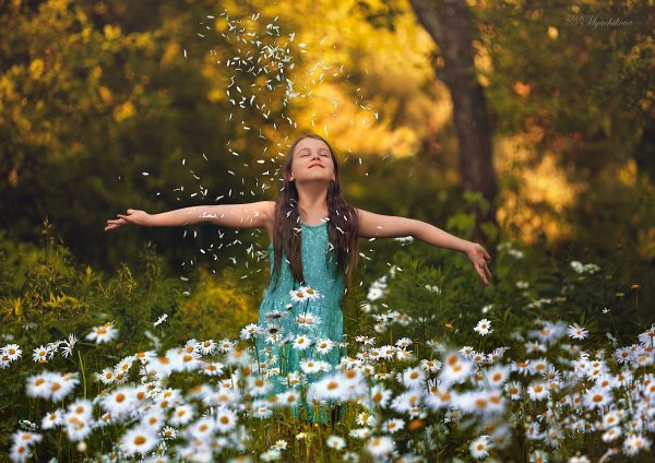 Летние мгновения фото