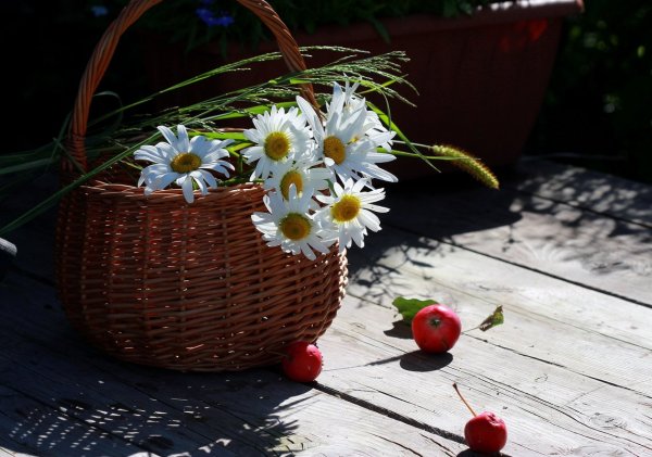 Мгновения лета