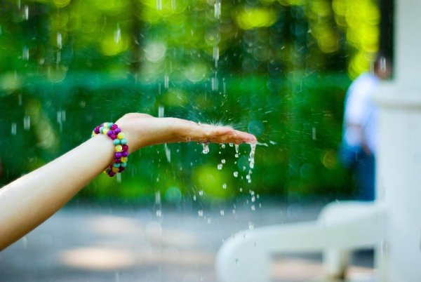 Радость в каждом мгновении