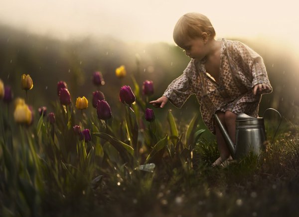 Elena Shumilova фотограф