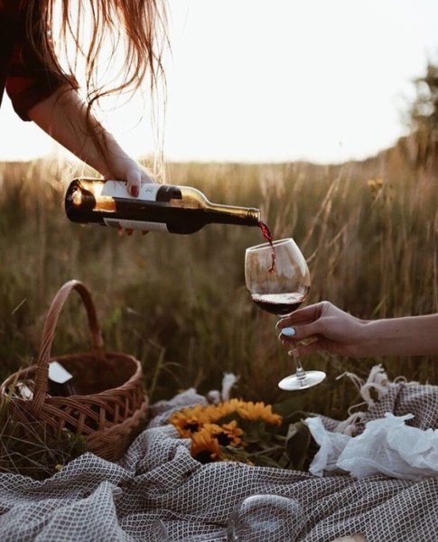 Лето пьют на природе