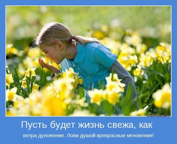 Мотиватор жизнь прекрасна