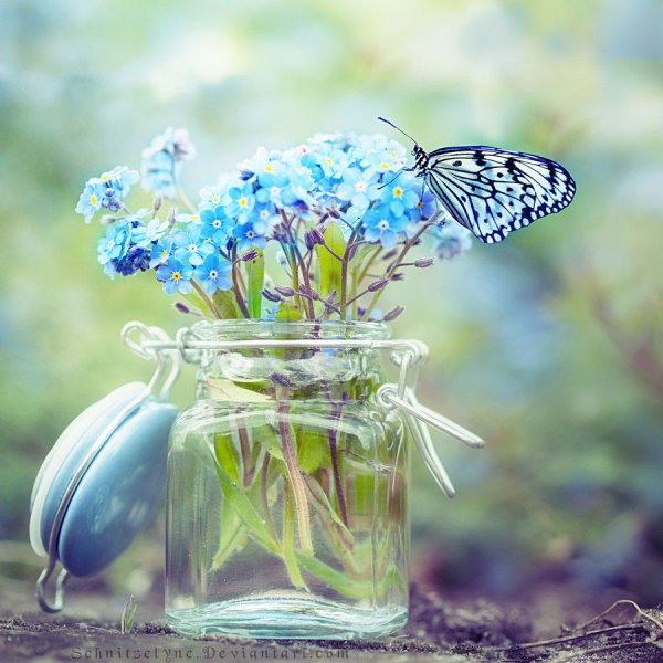 Мгновения природы