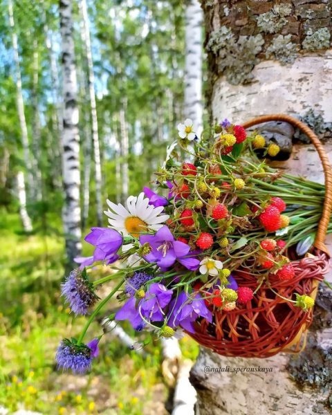 Девушка в полете