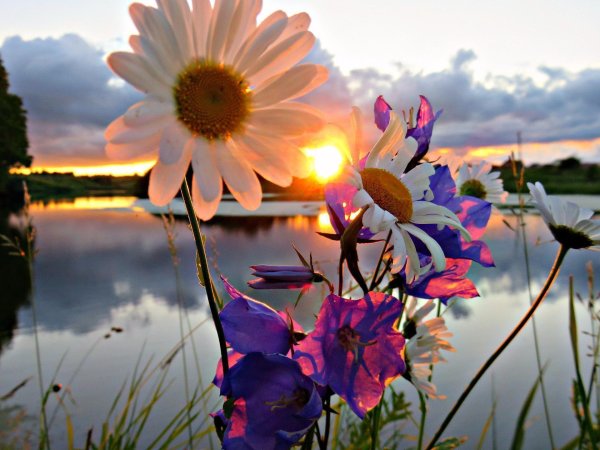 Природа с рекой и лодкой