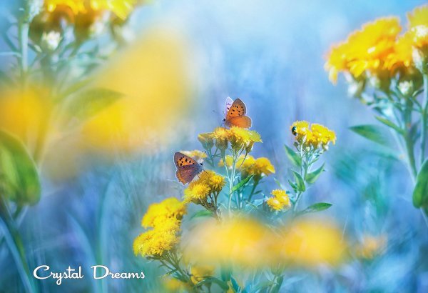 Позитивные иллюстрации