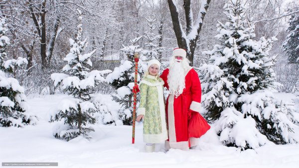 Дед Мороз и Снегурочка