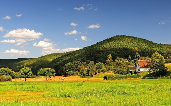 Деревенский пейзаж