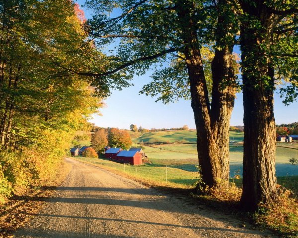 Поселок природа