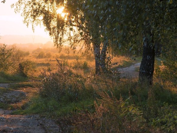Дорога в деревне
