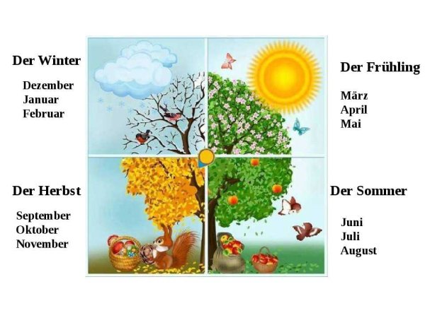 Времена года на немедско