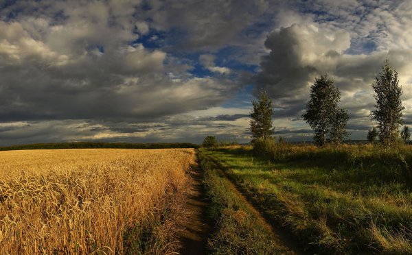 Август пейзаж