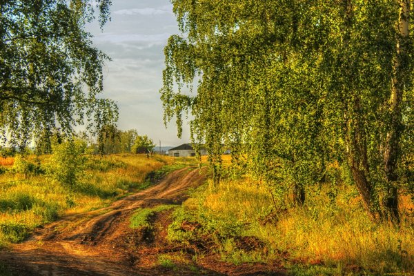 Пейзаж с рекой