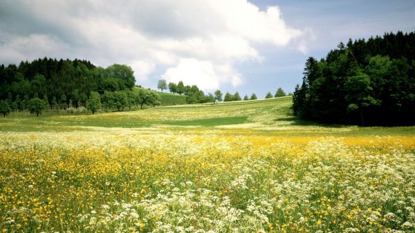 Кенозерский национальный парк
