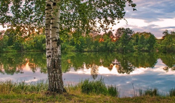 Пейзаж лето