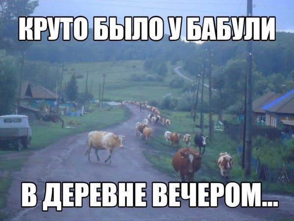 Смешные шутки про деревню