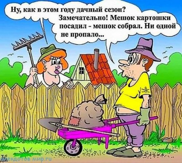 Про дачу и огород шутки