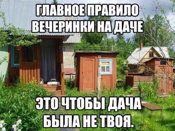 Прогулка прикол