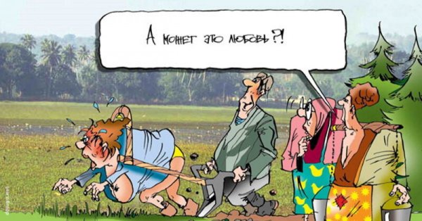 Стихи про дачу прикольные