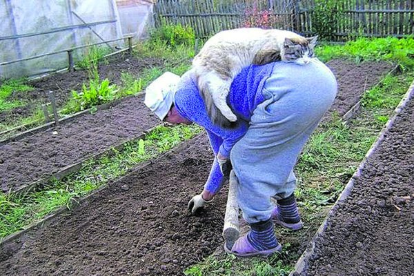 С началом дачного сезона