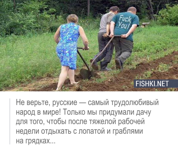 Открытки про дачу