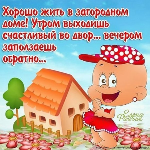 Приколы про огород и дачу