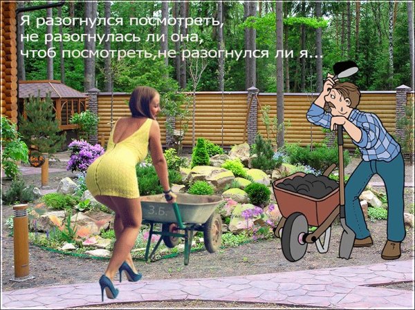 Приколы про деревню