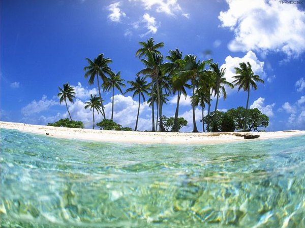 Корзина с клубникой