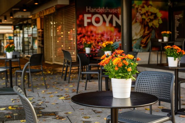 Веранда Смолкин