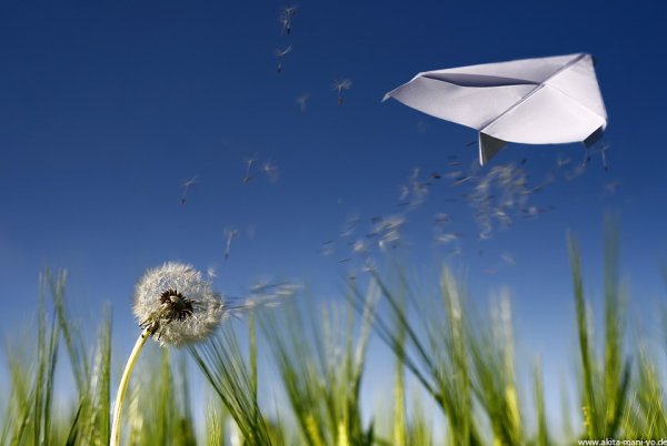 День бумажных самолетиков 25 апреля