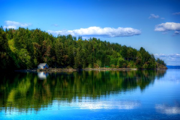 Природа лето река лес озеро