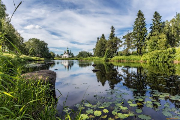 Природа лес река