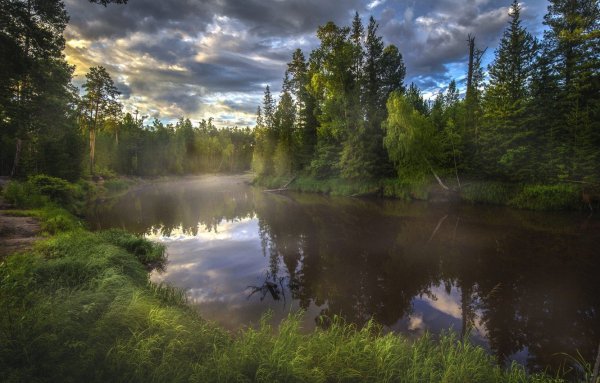 Лето природа река