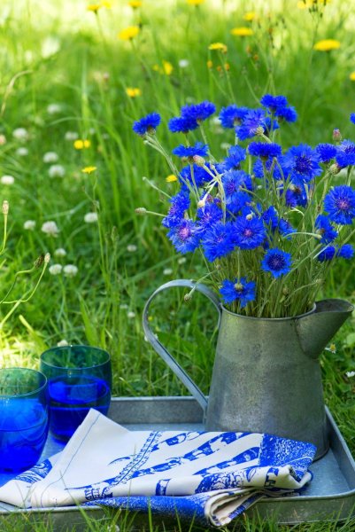 Эстетика голубого моря