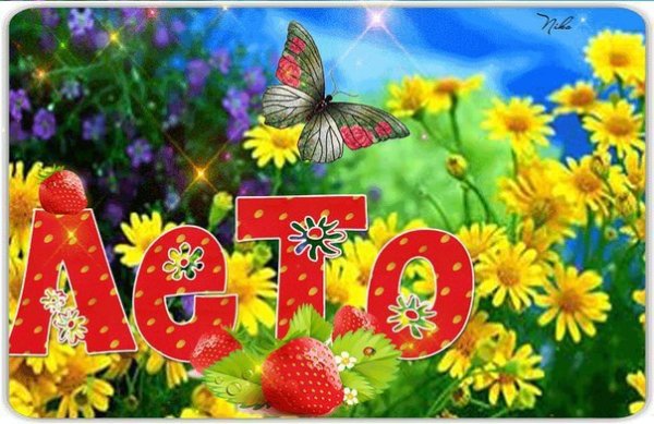 Летний день