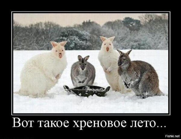 Зима ушла по английски