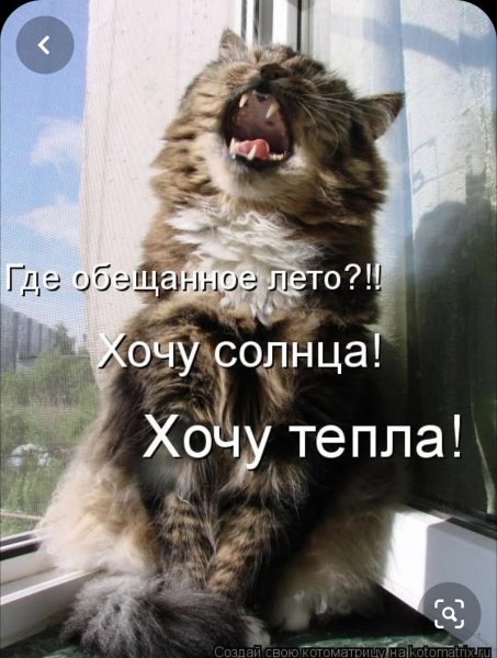 Холодное лето юмор