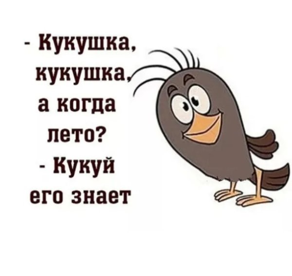 Мемы про Холодное лето