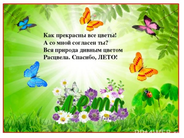 Детские стихи про цветы и лето