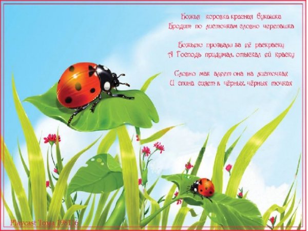 Стихотворение о лете