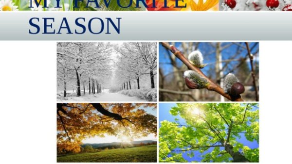 My favourite Season 3 класс проект