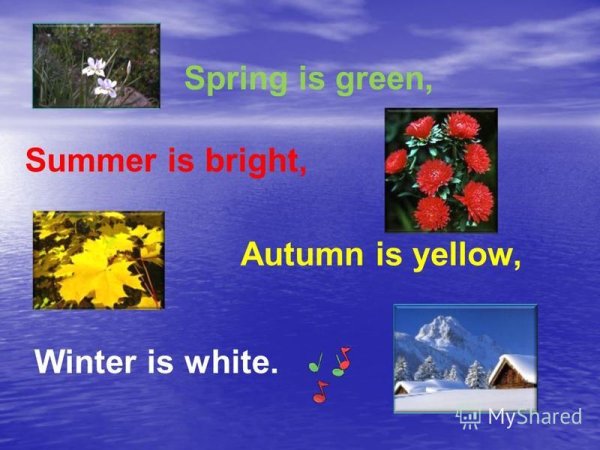 Моё любимое время года - весна / My Favourite Season Is Spring