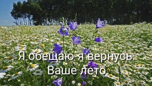 Вернусь ваше лето