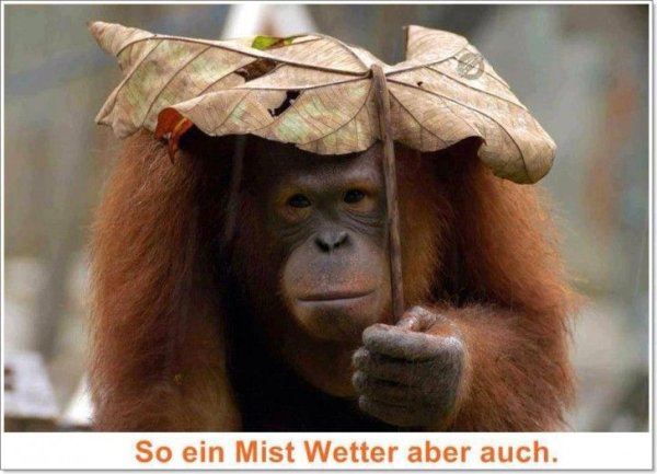 Вот и лето прошло