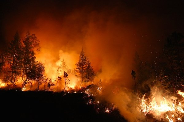 Лесные и степные пожары