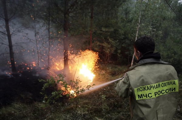 Лесные пожары в России 2020 в Ханты-Мансийском автономном округе