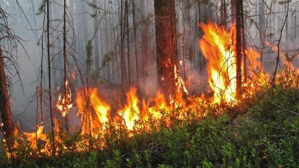 Огонь пожар