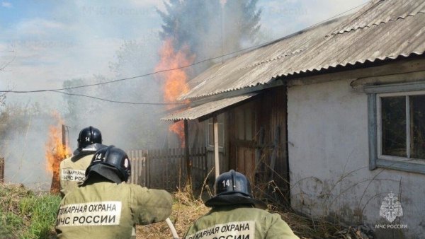 Природа после войны